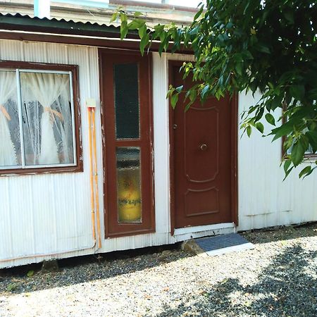 Cabana Independiente No Pareada Lugar Tranquilo Valdivia Eksteriør bilde